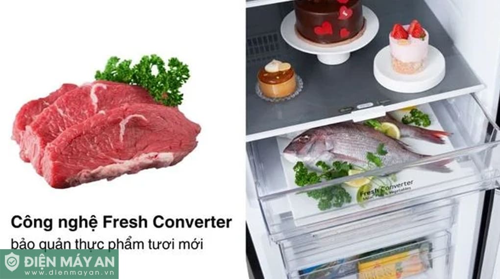 Tủ lạnh LG Inverter 335 lít LTB33BLMA